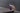 1 TIKI T2 blue Nao Tamura c2025 Establishedand Sons Phc Matteo D Angelo Insitu 2 300dpi